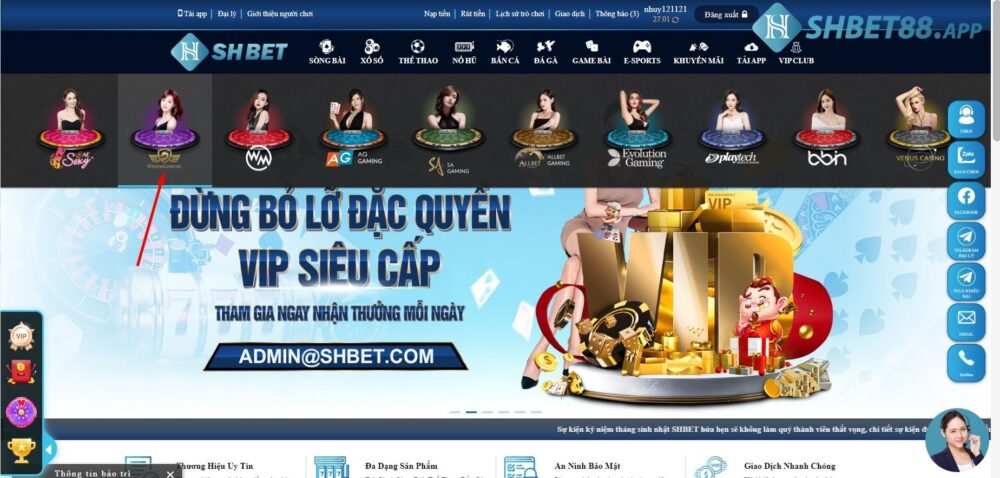 Giao diện đại diện của game Rồng Hổ tại Shbet