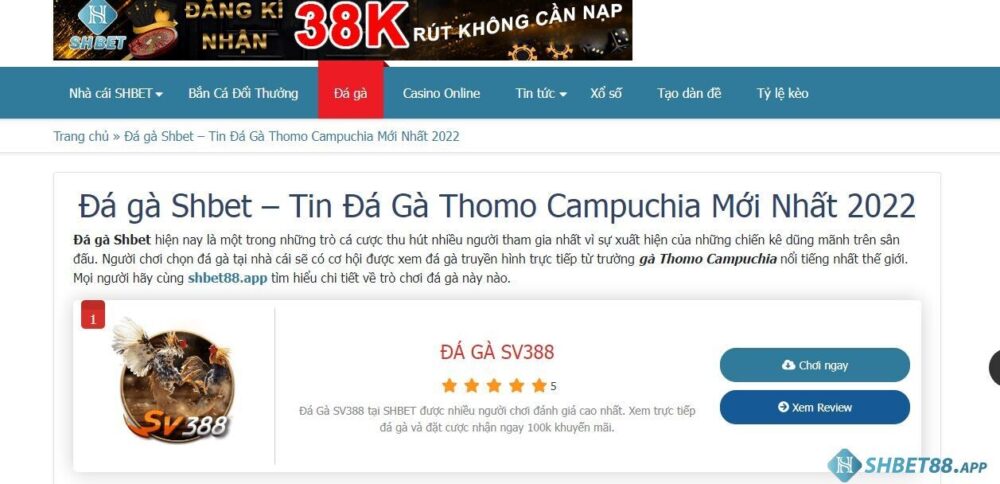 Cá cược đá gà hôm nay tại Shbet không phạm pháp