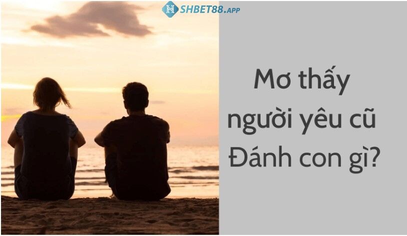 Mơ thấy người yêu cũ đánh con gì phát tài?