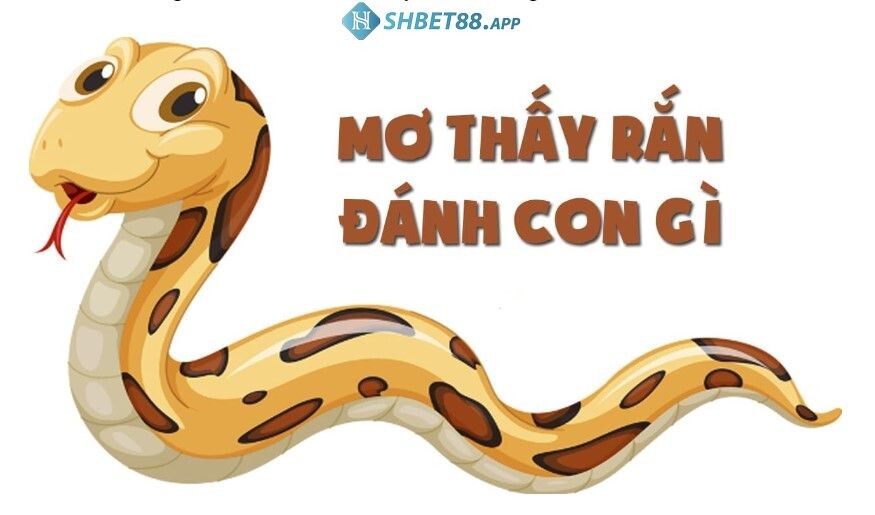 Mơ thấy rắn đánh con gì phát tài?