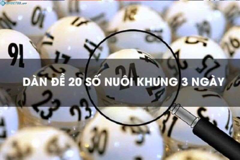 Những con số chuẩn nhất của dàn đề 20 số Shbet là gì?