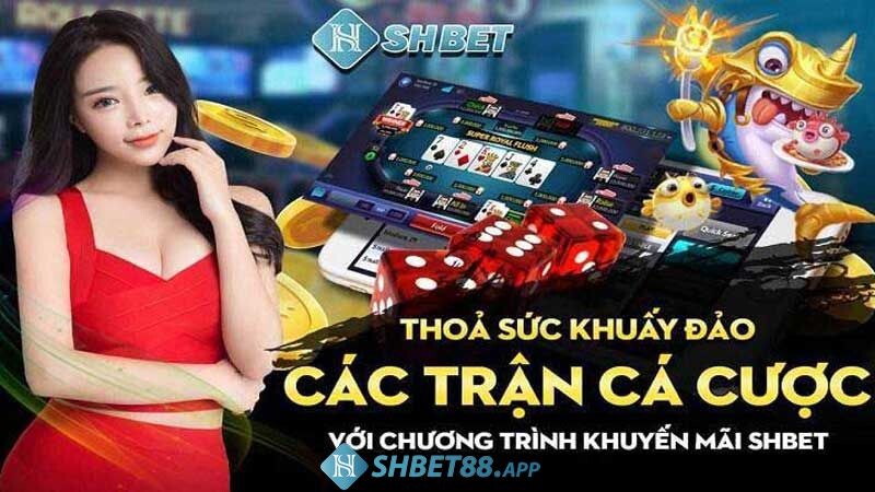 SHBET tung ra rất nhiều khuyến mãi khủng thu hút người chơi tại sảnh United Game