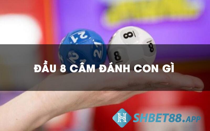 Giải đáp thắc mắc liên quan đến lô về 08 80 hôm sau đánh con gì?