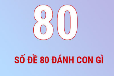 Gợi ý lô về 08 80 hôm sau đánh con gì để dễ trúng nhất?