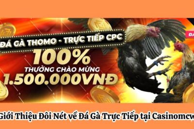 Đá Gà Trực Tiếp tại MCW: Hành Trình Cá Cược Hấp Dẫn 