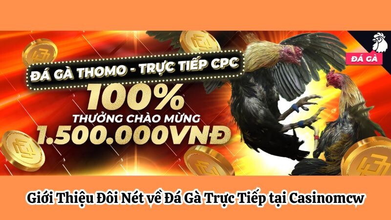 Giới Thiệu Đôi Nét về Đá Gà Trực Tiếp tại casinomcw