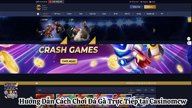 Hướng Dẫn Cách Chơi Đá Gà Trực Tiếp tại casinomcw