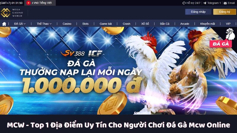 Nguồn gốc xuất xứ của MCW